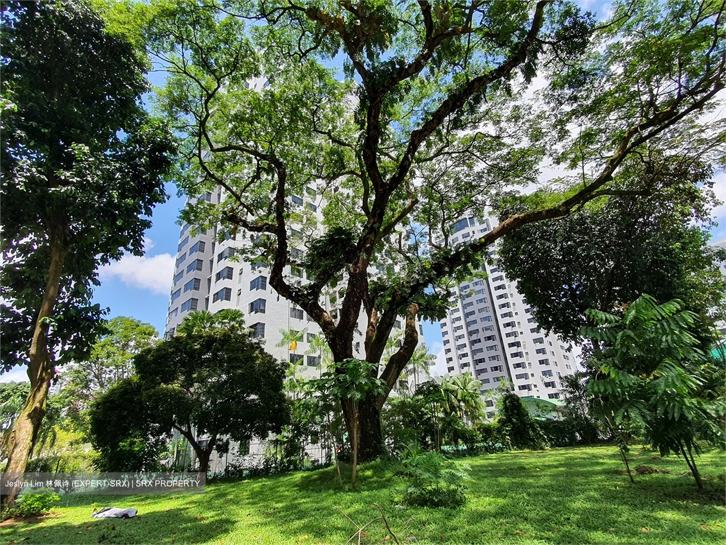 Central Green Condominium (D3), Condominium #579789901